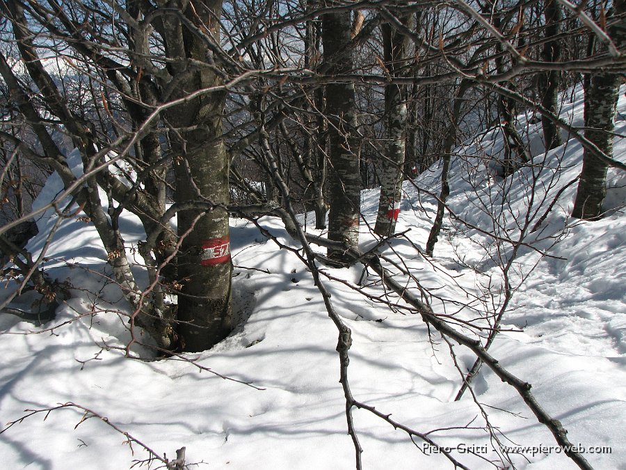 44 Sulla neve ora molle.jpg